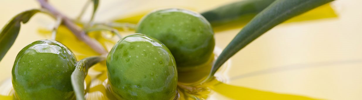 Aceitunas en la rama y aceite de oliva virgen extra